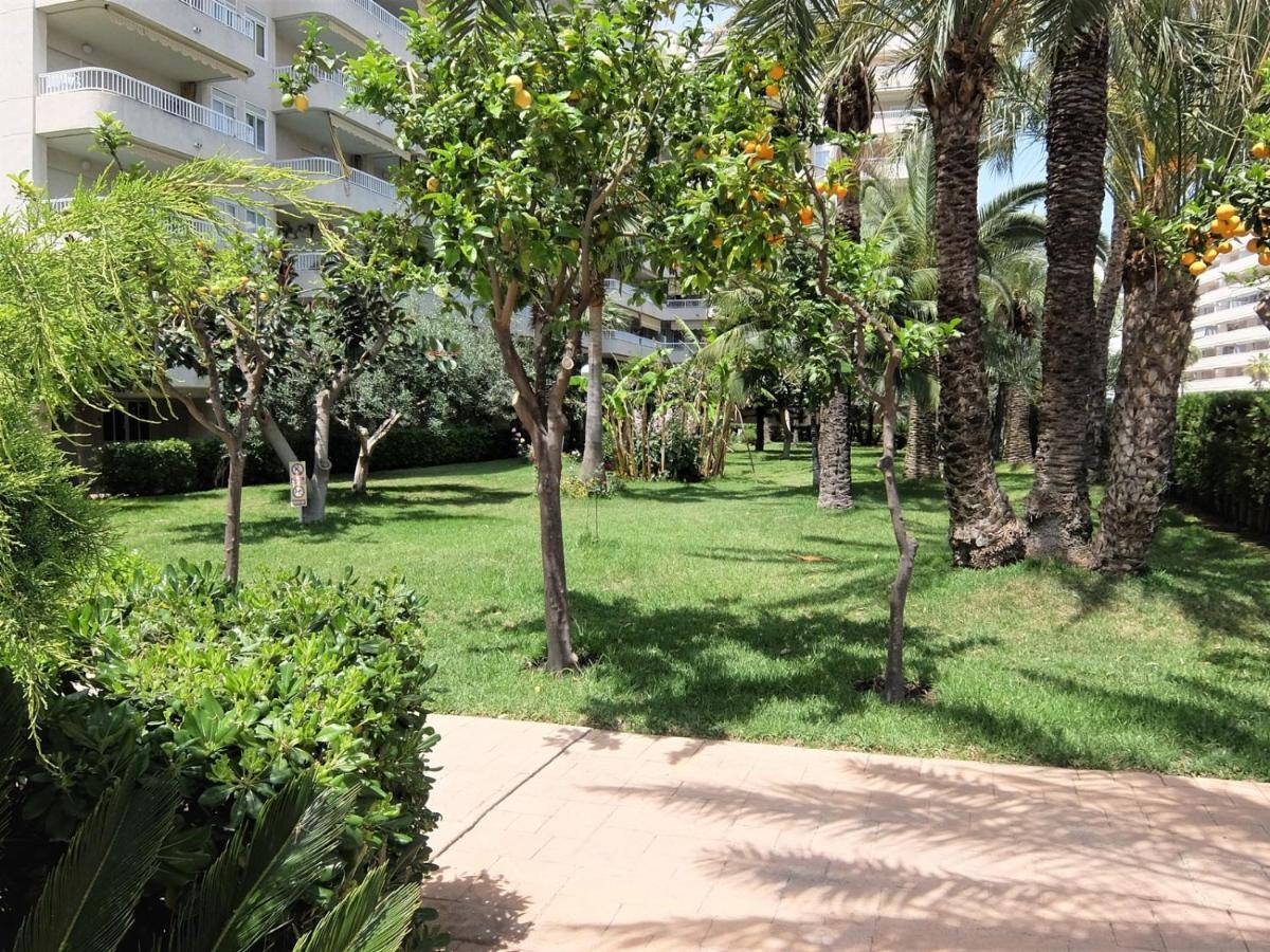 Parque Mota - Alquiler Solo A Familias Apartment Playa de Gandia Екстериор снимка